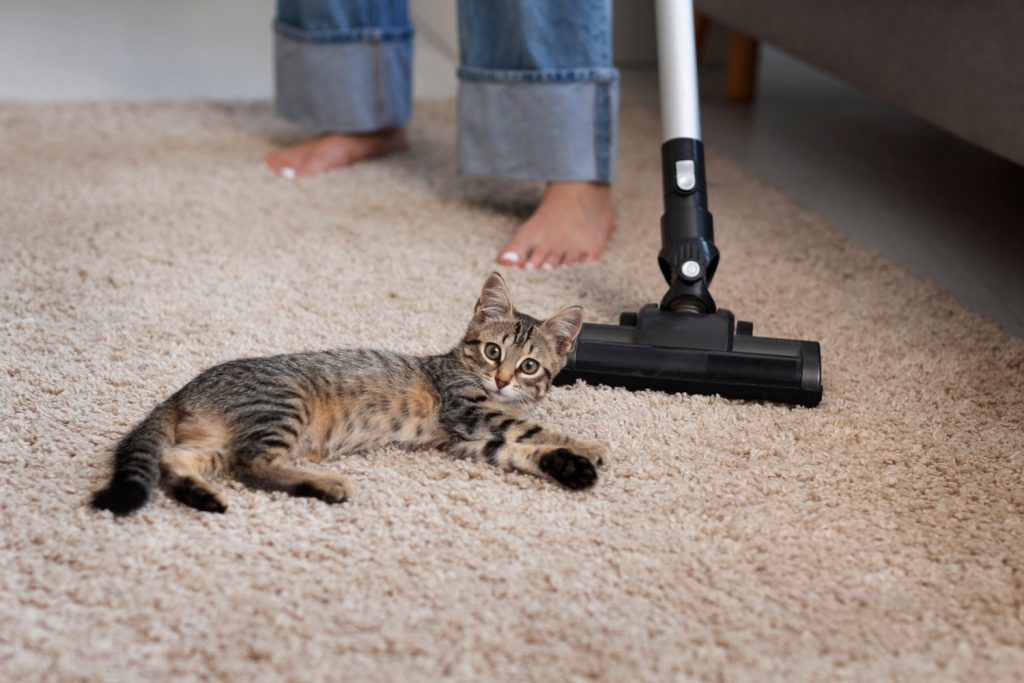 25 - Housekeeping Connect Services Ltd - Pet-Friendly Cleaning: Keeping Your Home Fur-Free 